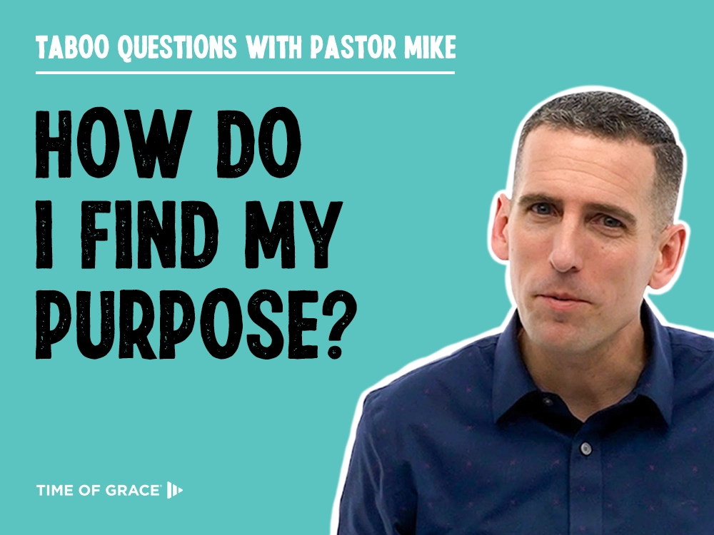 find my purpose