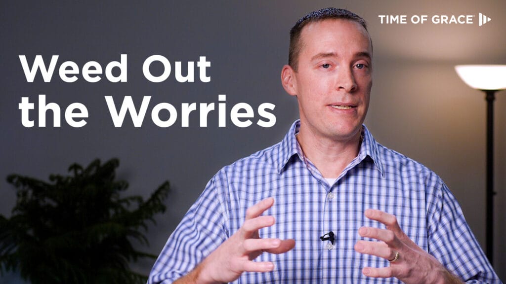 Weed out the worries