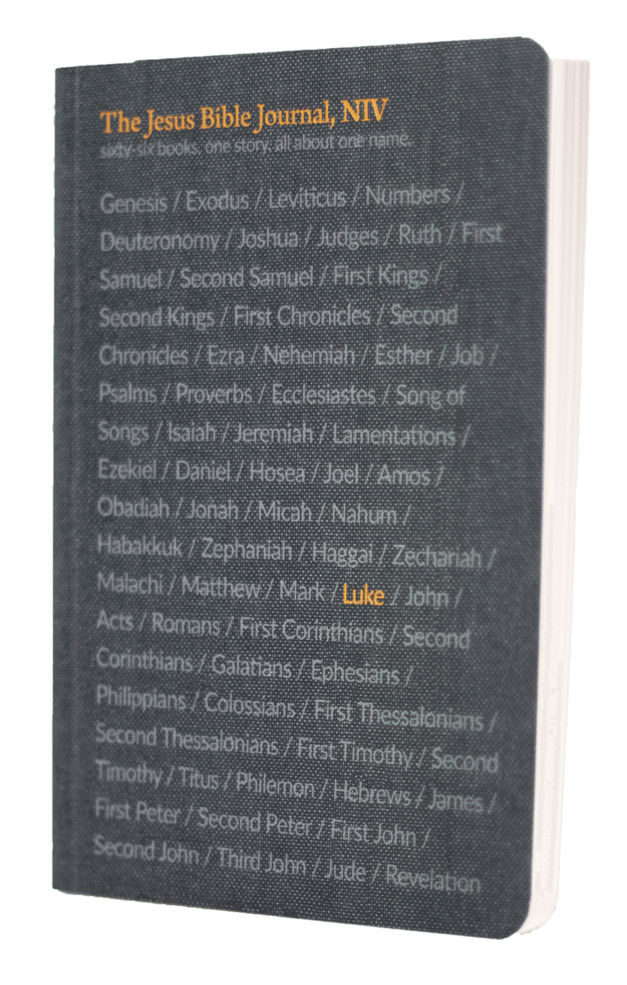 The Jesus Bible Journal: Luke book cover